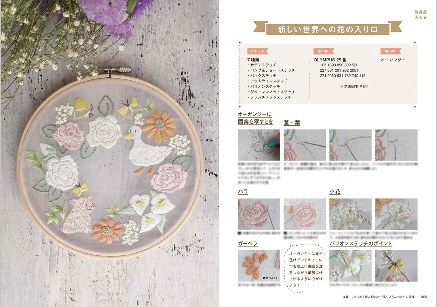 Enjoy Animal Embroidery Lessons With Various Threads (Chicchi) (2021)