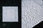 White Embroidery From The South of France (Megumi Otani) (2024)