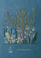 Pretty Embroidery Story by Alice Maccabee - Gift of the Natural World