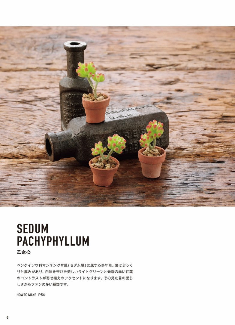 Miniature Succulents made from Polymer Clay (Kitanoko) (2019)