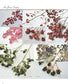 Living with Dried Flowers (2023)