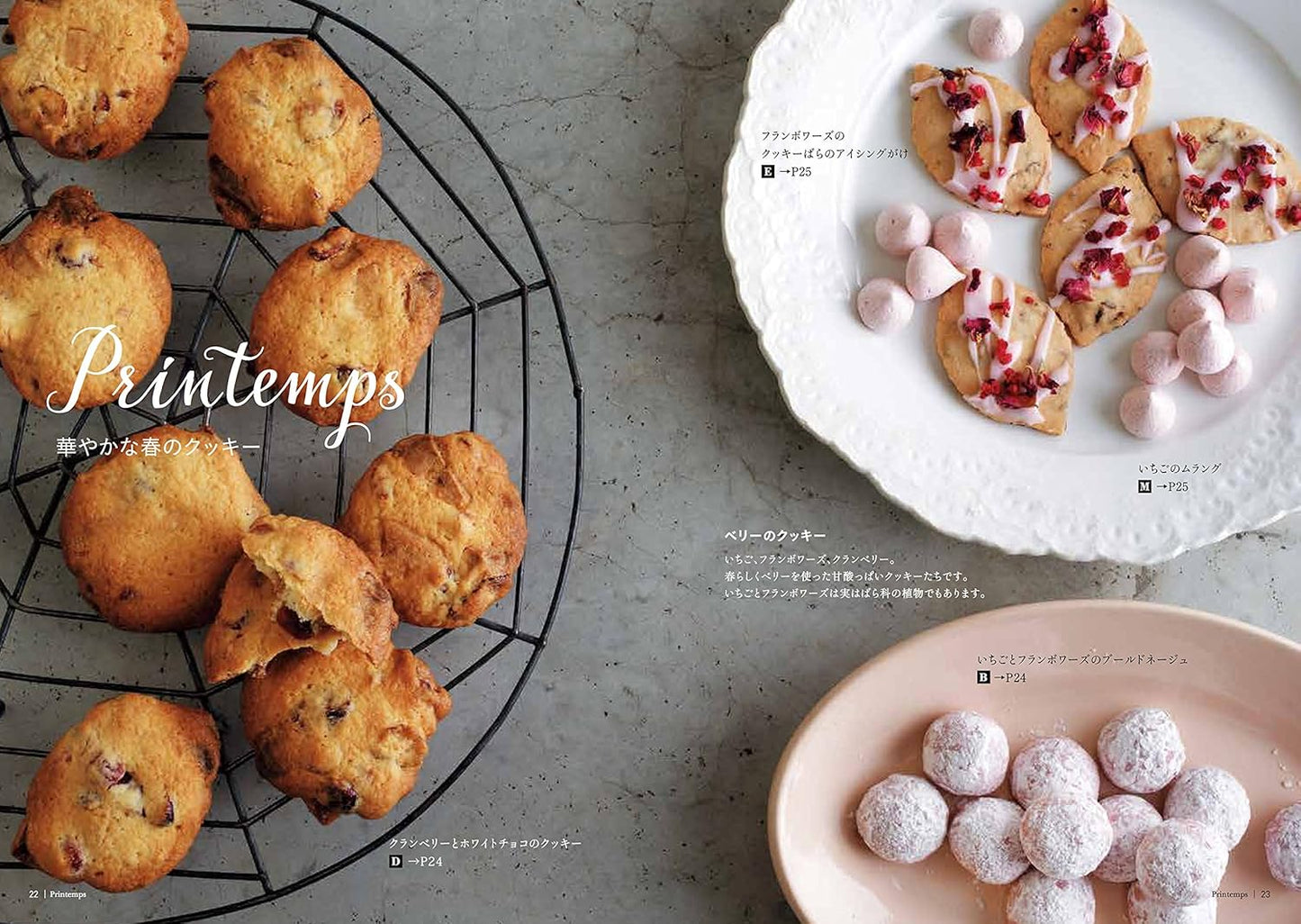 365 Days of Cookies (Takaishi Noriko) (2017)