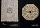 (PREORDER-Delivery in 48hrs) Antique Lace: Beautiful and Delicate Handiwork from the 16th to 20th Centuries (New Edition) (2026)