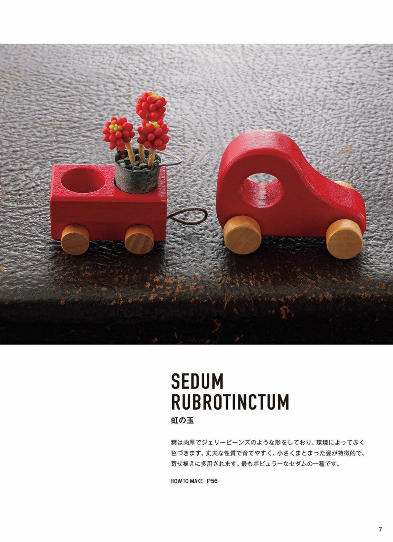 Miniature Succulents made from Polymer Clay (Kitanoko) (2019)