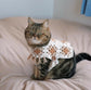 Torajiro the Cat and Crocheted Accessories (Lady Boutique Series) (2025)