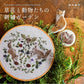 Embroidery Garden of Flowers & Animals by Mayuka Morimoto (2021)