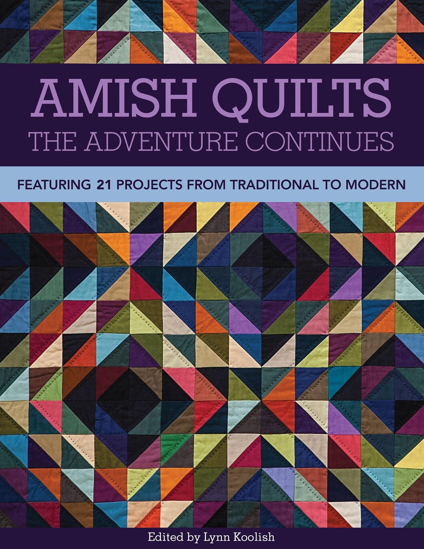Amish Quilts, The Adventure Continues - Featuring 21 Projects from Traditional to Modern