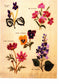 100 Examples of Practical Embroidery (2002) (CHINESE)