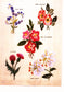 100 Examples of Practical Embroidery (2002) (CHINESE)