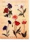 100 Examples of Practical Embroidery (2002) (CHINESE)