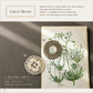 Special Tatting Lace Book (ENGLISH VER.)
