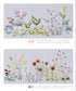 Embroidery of Wildflowers 3 (Sadako Totsuka) (2025) NEW EDITION