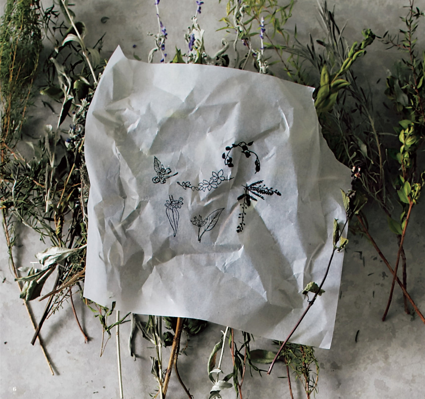 Handmade Seal Plant Illustrations Pattern Collection (Kato Eriko)