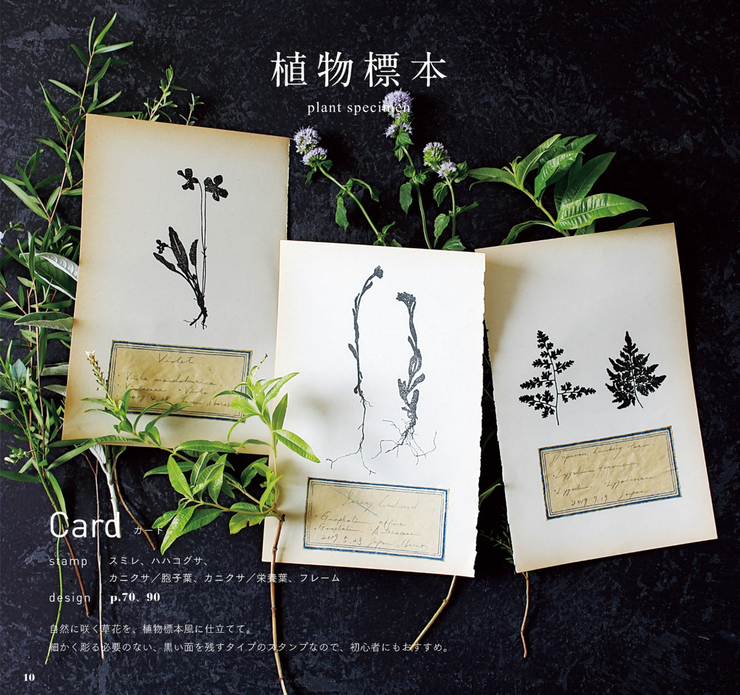 Handmade Seal Plant Illustrations Pattern Collection (Kato Eriko)