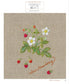 Herb Embroidery on Linen Vol.03 (Sadako Totsuka) (2025)