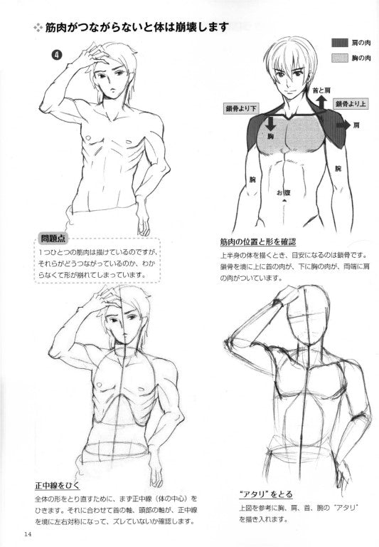 How to Draw a Muscular Boy