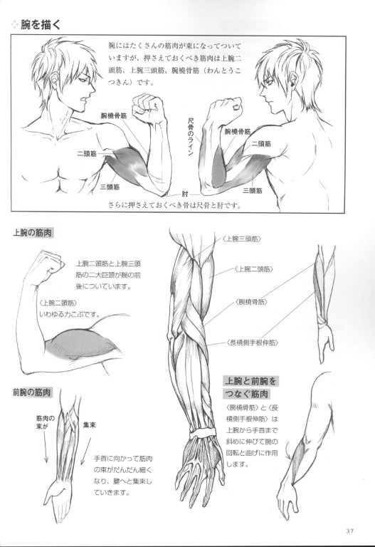 How to Draw a Muscular Boy