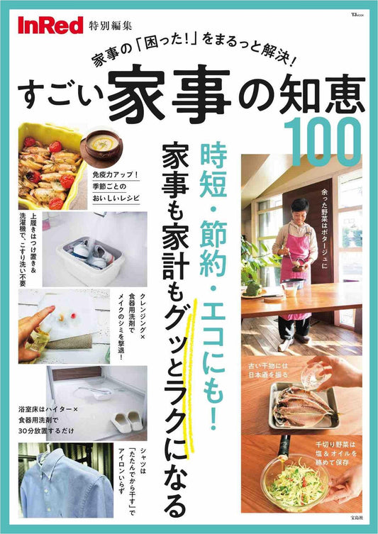 InRed Special Edition - 100 Amazing Housework Tips (2024)