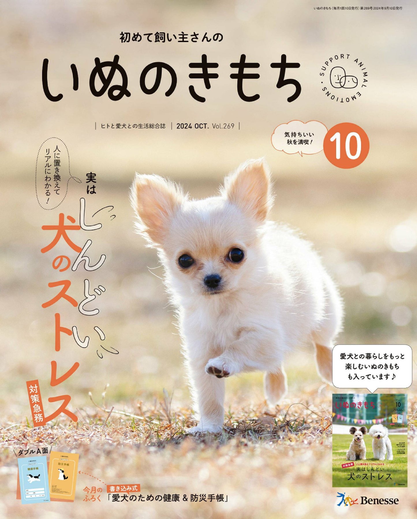 Inu no Kimochi (2024)-11