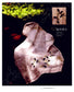 Ultimate Ribbon Embroidery (2011) (CHINESE)