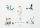 Little Ribbon Embroidery Flowers (Mitsuko Ebisu) (2018)