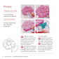 Love Embroidery - Ultimate Guide to Florals (2022)