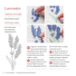 Love Embroidery - Ultimate Guide to Florals (2022)