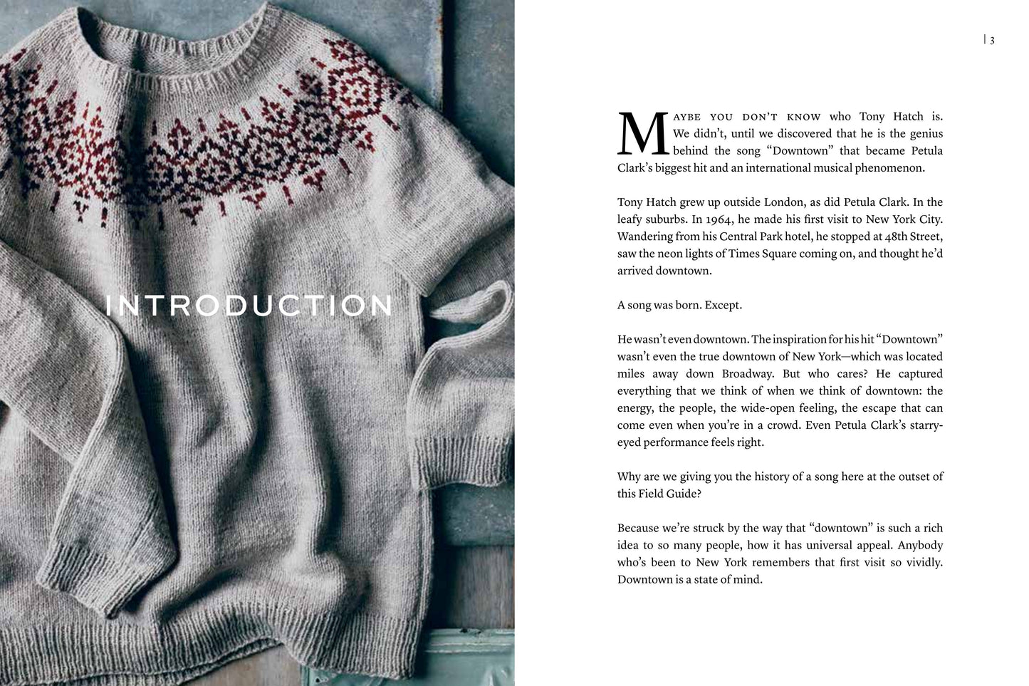 MDK Field Guide №10 2019 Downtown