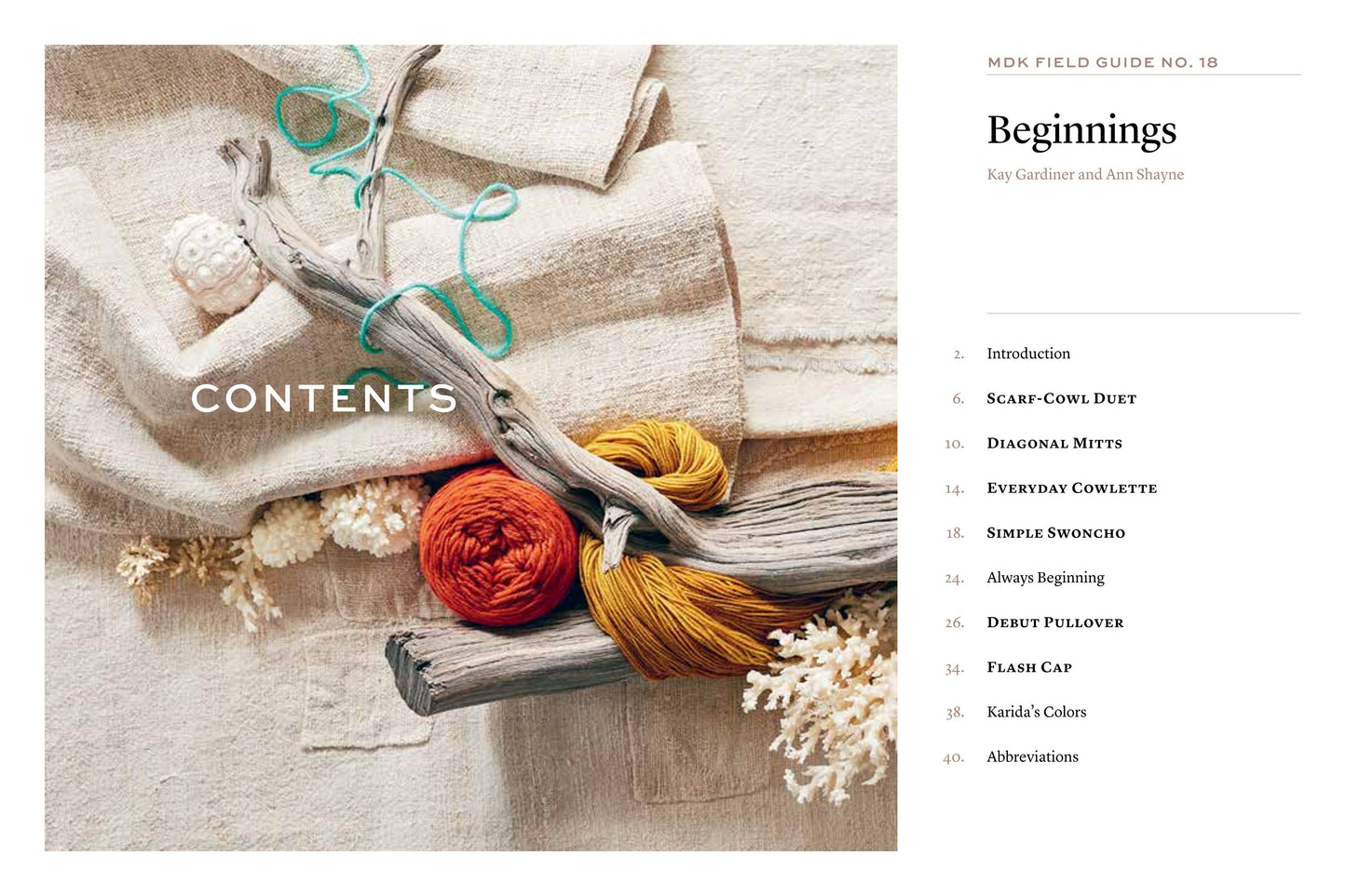 MDK Field Guide №18 2021 Beginnings