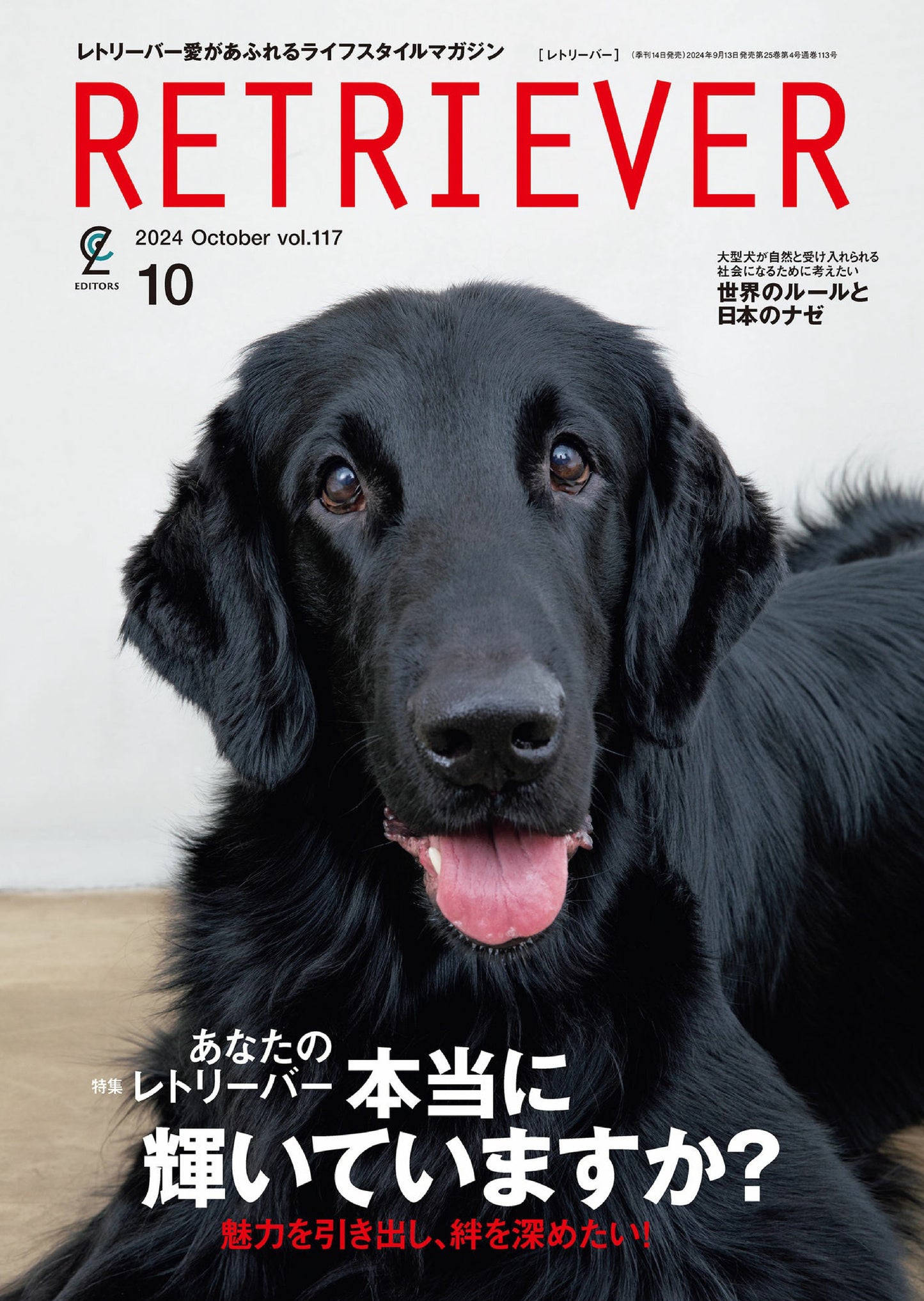 Retriever (2024)-10