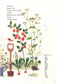 Travel Notes on Embroidery (A Visit to Peter Rabbits Hometown) (Kazuko Aoki)