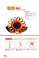 Chinese Knot Basics (2014) (CHINESE)