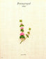 Sachiko Morimoto's 3D Floral Embroidery (2014) (CHINESE)