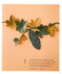 Four Seasons Food 3D Paper Cut (2019) (CHINESE)