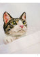 Neko Shirt Cat Embroidery (2015)