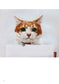 Neko Shirt Cat Embroidery (2015)