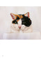 Neko Shirt Cat Embroidery (2015)