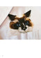 Neko Shirt Cat Embroidery (2015)