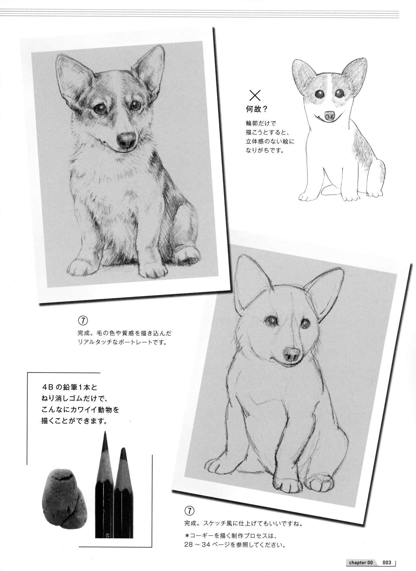 How to Draw Animals Painted by Veterinarian (by Mari Suzuki) (2019)