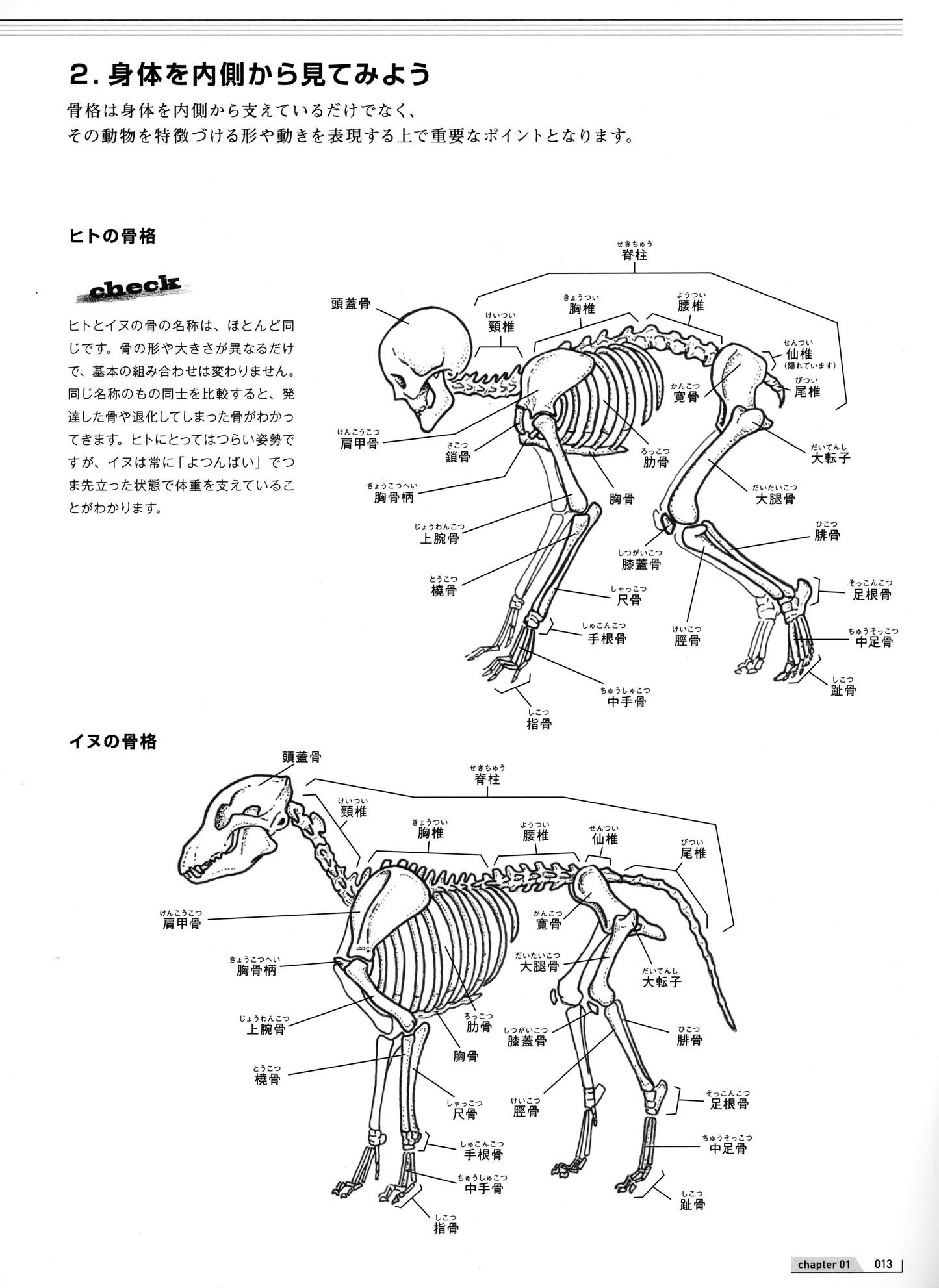 How to Draw Animals Painted by Veterinarian (by Mari Suzuki) (2019)