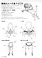 How to Draw Animals Painted by Veterinarian (by Mari Suzuki) (2019)