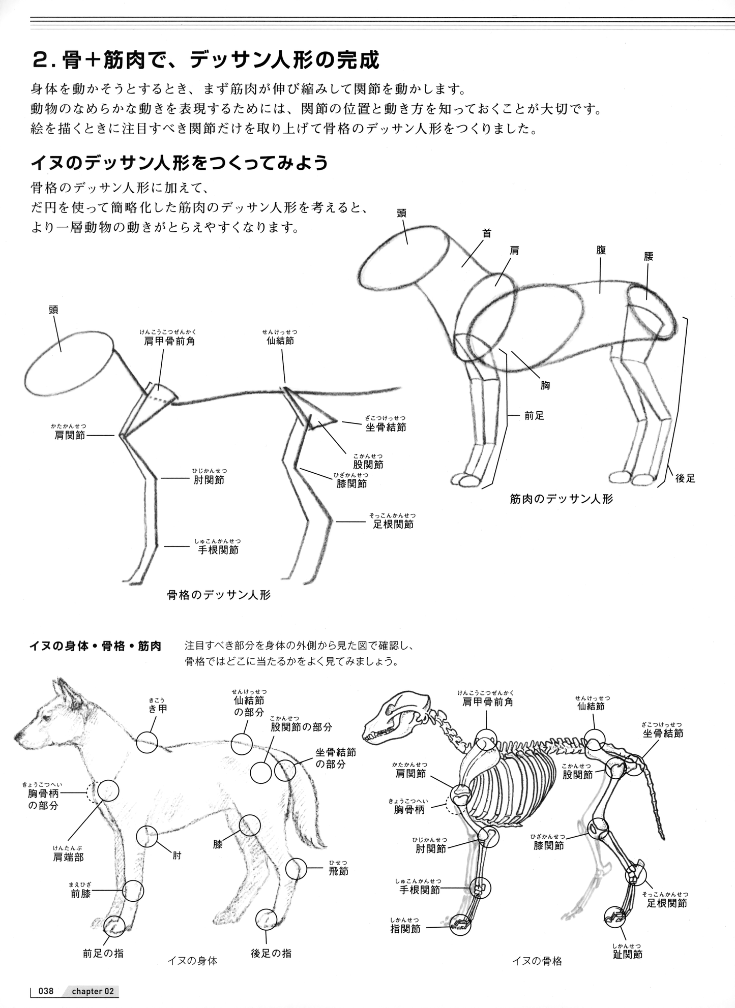 How to Draw Animals Painted by Veterinarian (by Mari Suzuki) (2019)