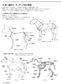 How to Draw Animals Painted by Veterinarian (by Mari Suzuki) (2019)
