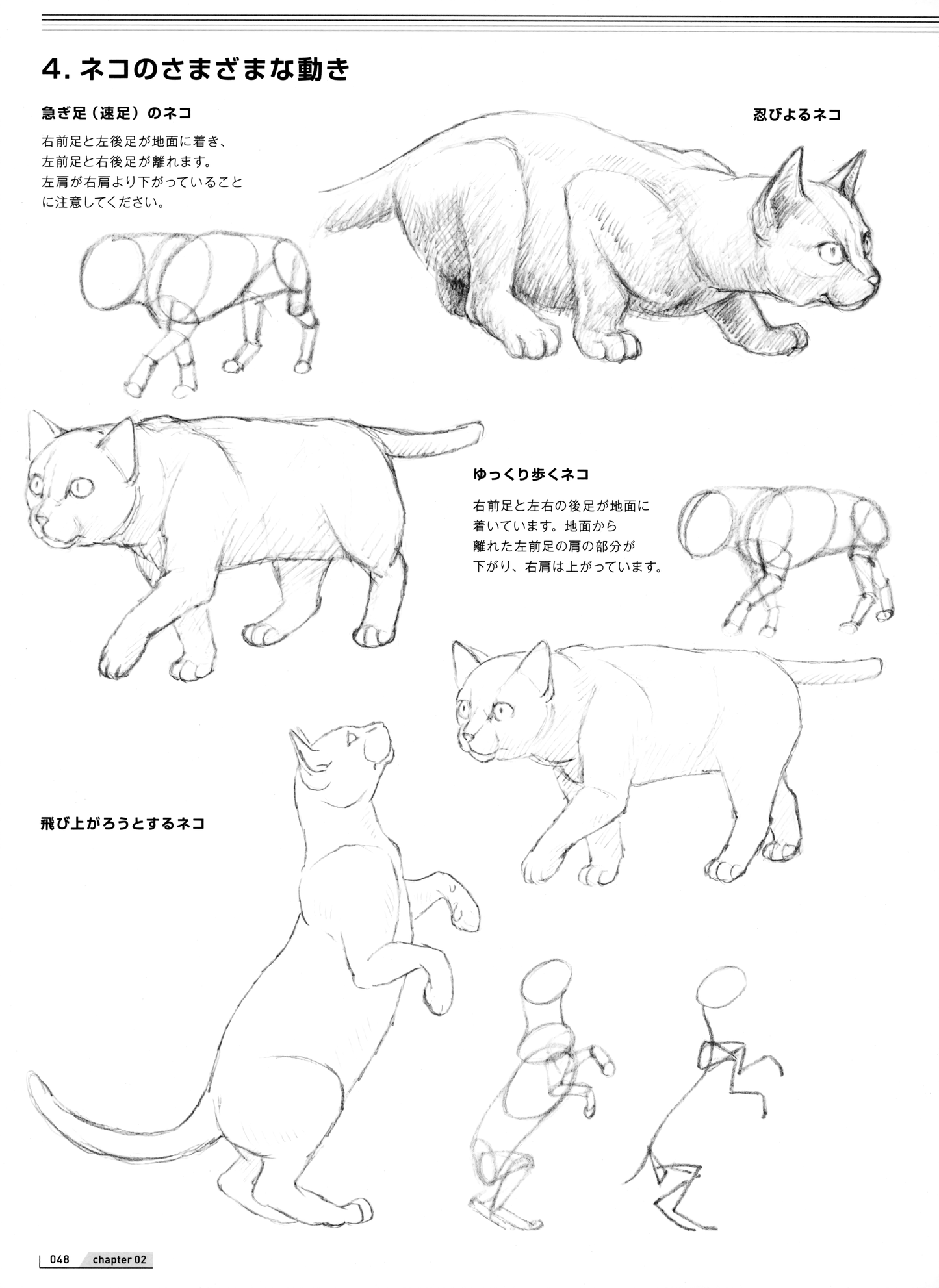 How to Draw Animals Painted by Veterinarian (by Mari Suzuki) (2019)